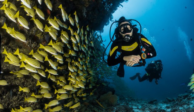 Diving in the World – Top Destinations
