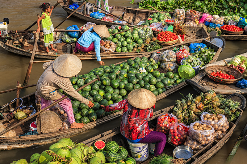 vietnam travel vaccinations needed